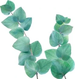 Kneipp Refreshing - Badolie -Winkel Voor Persoonlijke Verzorging 1145x1200 5