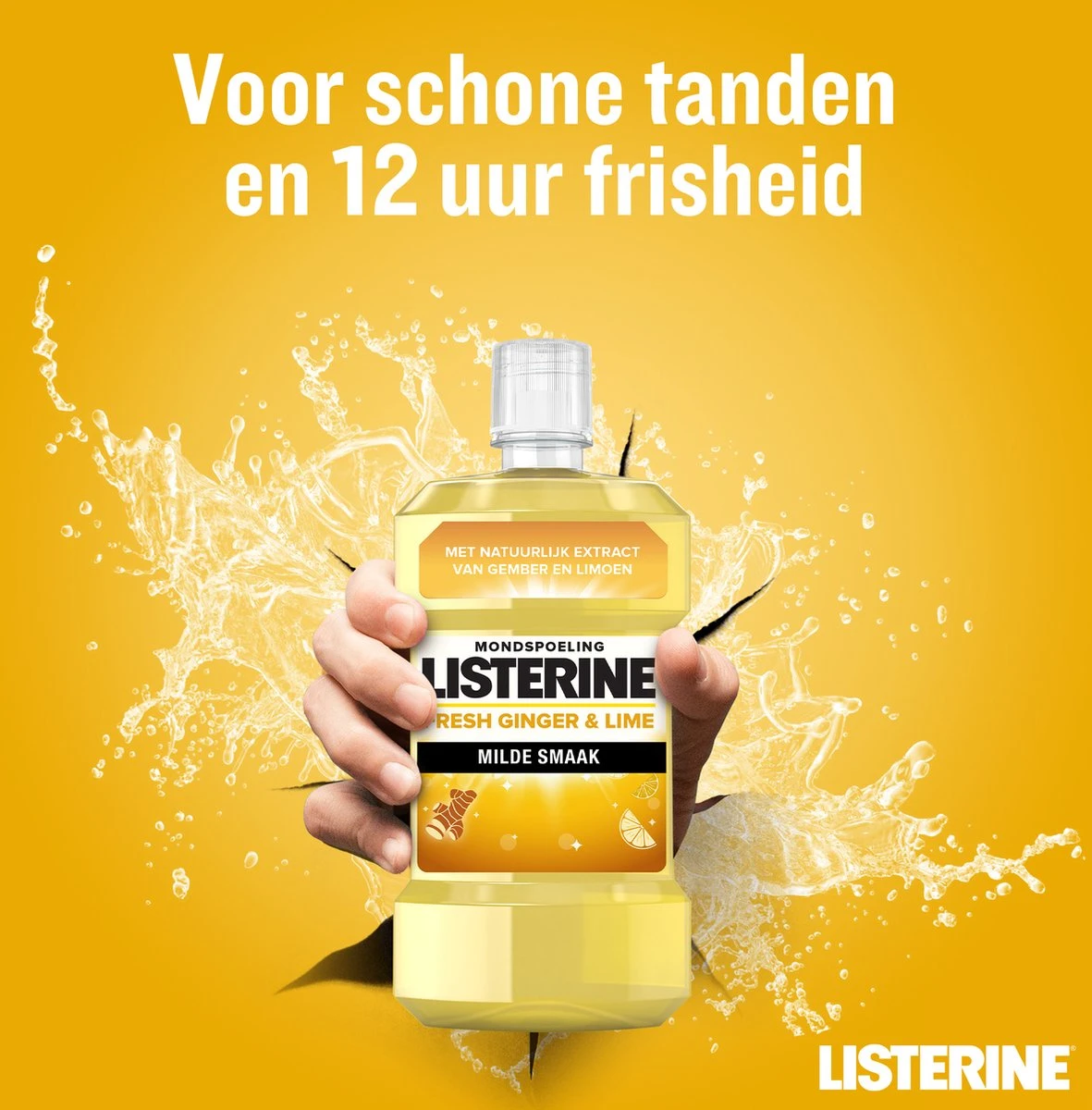 LISTERINE Fresh Ginger & Lime Mondwater, Met Gember- En Limoenextract, Mondspoeling Zonder Alcohol, Voor Een Frisse Adem, 3 X 500 Ml 5 LISTERINE Fresh Ginger & Lime Mondwater, Met Gember- En Limoenextract, Mondspoeling Zonder Alcohol, Voor Een Frisse Adem, 3 X 500 Ml - Afbeelding 3