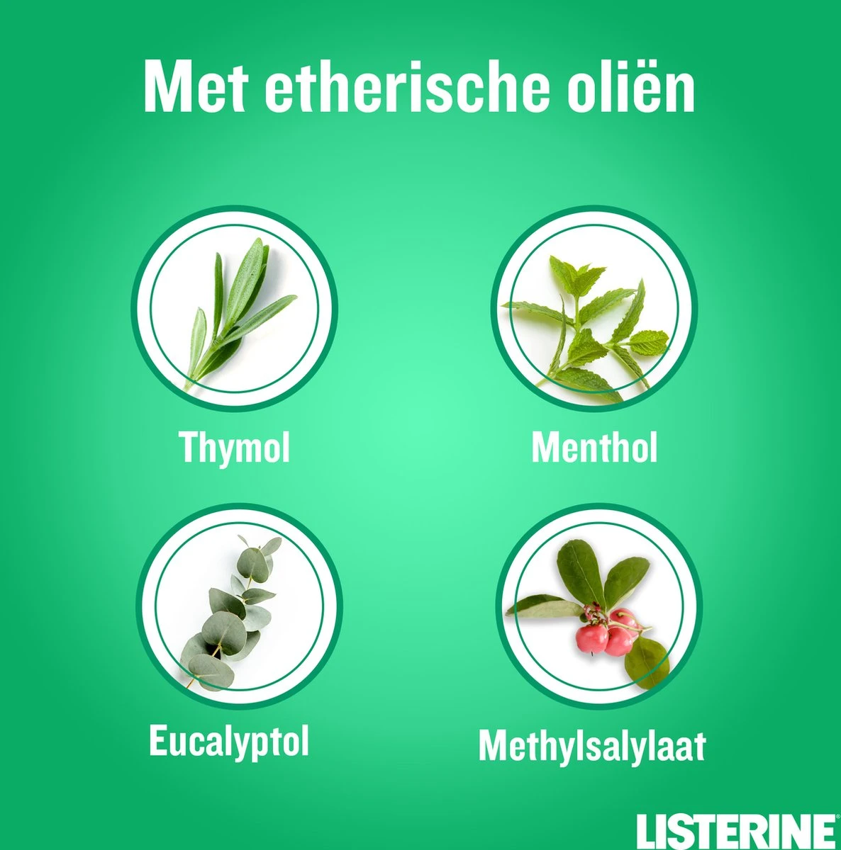 LISTERINE Clean & Fresh, Mondwater Met Essentiële Oliën En Fluoride, Zonder Alcohol, Bereikt De Plaatsen Die De Tandenborstel Mist – Zelfs Tussen De Beugel, 3 X 500 Ml 8 LISTERINE Clean & Fresh, Mondwater Met Essentiële Oliën En Fluoride, Zonder Alcohol, Bereikt De Plaatsen Die De Tandenborstel Mist – Zelfs Tussen De Beugel, 3 X 500 Ml - Afbeelding 6