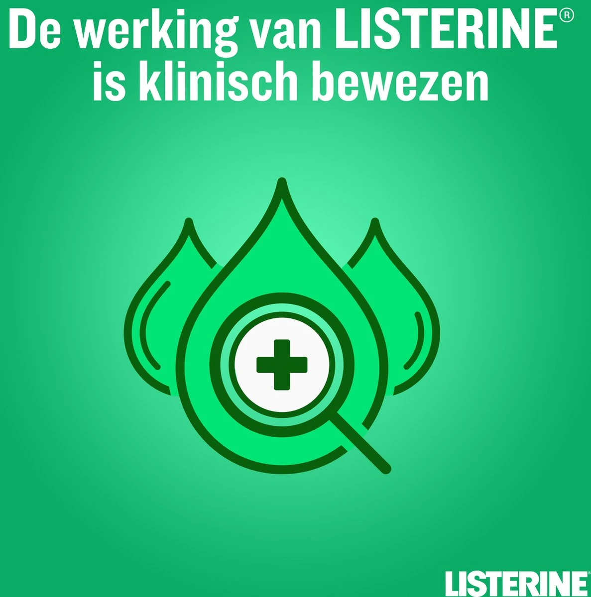 LISTERINE Clean & Fresh, Mondwater Met Essentiële Oliën En Fluoride, Zonder Alcohol, Bereikt De Plaatsen Die De Tandenborstel Mist – Zelfs Tussen De Beugel, 3 X 500 Ml 7 LISTERINE Clean & Fresh, Mondwater Met Essentiële Oliën En Fluoride, Zonder Alcohol, Bereikt De Plaatsen Die De Tandenborstel Mist – Zelfs Tussen De Beugel, 3 X 500 Ml - Afbeelding 5