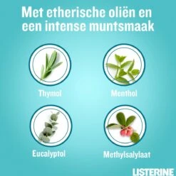 Listerine Cool Mint Mondwater, Mondspoeling Met Intens Frisse Muntsmaak, Bestrijdt Schadelijke Bacteriën Voor Gezond Tandvlees, 8 X 95 Ml -Winkel Voor Persoonlijke Verzorging 1194x1200 2