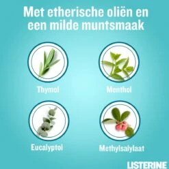 LISTERINE Cool Mint Milde Smaak, Mondspoeling Zonder Alcohol Met Etherische Oliën, Helpt Bacteriën Te Verwijderen En Zorgt Voor Een Langdurig Frisse Adem, 3 X 500 Ml 18 LISTERINE Cool Mint Milde Smaak, Mondspoeling Zonder Alcohol Met Etherische Oliën, Helpt Bacteriën Te Verwijderen En Zorgt Voor Een Langdurig Frisse Adem, 3 X 500 Ml -Winkel Voor Persoonlijke Verzorging 1194x1200