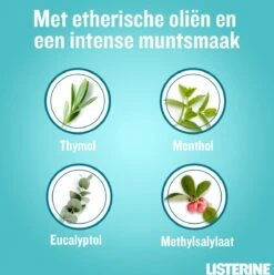 LISTERINE® Fresh Mint, Mondspoeling Met Essentiële Oliën Voor Een Langdurig Frisse Adem, 3x600ml -Winkel Voor Persoonlijke Verzorging 1196x1200 4