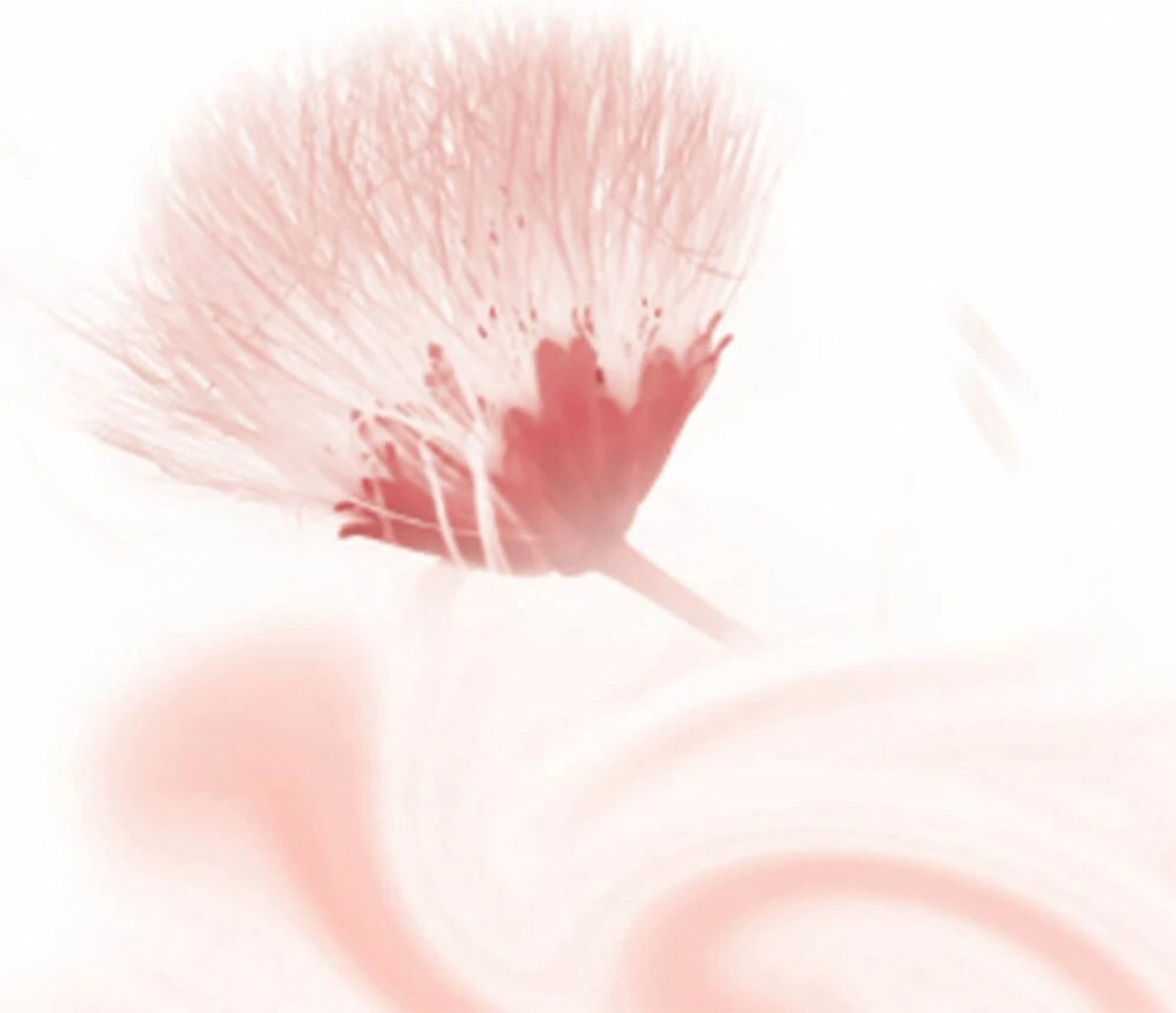 Kneipp Silky Secret - Cream & Oil Body Scrub 4 Kneipp Silky Secret - Cream & Oil Body Scrub - Afbeelding 2