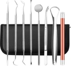 Qy Tandarts Set Voor Het Verwijderen Van Tandsteen En Verzorgen Van Het Gebit – 8 Delig In Luxe Opbergetui