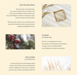 Glow Deep Serum Arbutan + Ricebran Tegen Pigmentatie -Winkel Voor Persoonlijke Verzorging 1200x1167 5