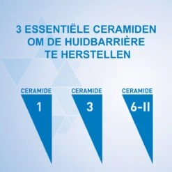 CeraVe - Moisturizing Lotion - Bodylotion - Droge Tot Zeer Droge Huid - 473 Ml -Winkel Voor Persoonlijke Verzorging 1200x1200 1000