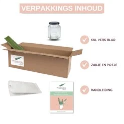 Dr. Green® 1x- Aloë Vera Blad - MAAK GEL IN 3 MINUTEN - 100% Puur - Biologisch -Winkel Voor Persoonlijke Verzorging 1200x1200 1022