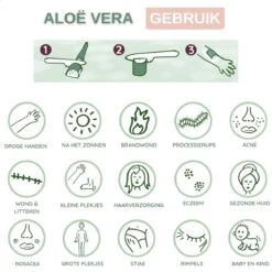 Dr. Green® 1x- Aloë Vera Blad - MAAK GEL IN 3 MINUTEN - 100% Puur - Biologisch -Winkel Voor Persoonlijke Verzorging 1200x1200 1025