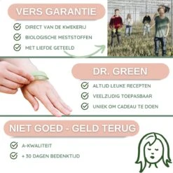 Dr. Green® 1x- Aloë Vera Blad - MAAK GEL IN 3 MINUTEN - 100% Puur - Biologisch -Winkel Voor Persoonlijke Verzorging 1200x1200 1026