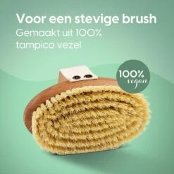 100% Vegan Lichaamsborstel - 0% Plastic - Dry Brushing Badborstel/Droogborstel/Doucheborstel/Huidborstel - Beukenhout -Winkel Voor Persoonlijke Verzorging 1200x1200 1172