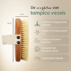 100% Vegan Lichaamsborstel - 0% Plastic - Dry Brushing Badborstel/Droogborstel/Doucheborstel/Huidborstel - Beukenhout -Winkel Voor Persoonlijke Verzorging 1200x1200 1173