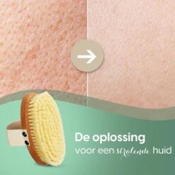 100% Vegan Lichaamsborstel - 0% Plastic - Dry Brushing Badborstel/Droogborstel/Doucheborstel/Huidborstel - Beukenhout -Winkel Voor Persoonlijke Verzorging 1200x1200 1174