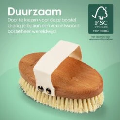 100% Vegan Lichaamsborstel - 0% Plastic - Dry Brushing Badborstel/Droogborstel/Doucheborstel/Huidborstel - Beukenhout -Winkel Voor Persoonlijke Verzorging 1200x1200 1175