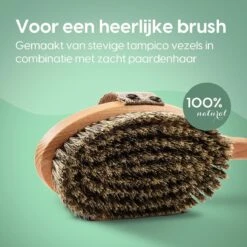 100% Natuurlijke Lichaamsborstel Met Lange Afneembare Steel - Rugborstel Badborstel Doucheborstel - Dry Brushing Huidborstel - Droogborstel - Douche -Winkel Voor Persoonlijke Verzorging 1200x1200 1225
