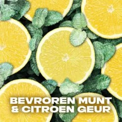 Axe Ice Chill 3-in-1 Douchegel - 6 X 250 Ml - Voordeelverpakking -Winkel Voor Persoonlijke Verzorging 1200x1200 1338