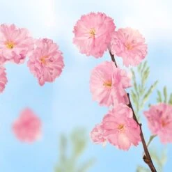 Kneipp Favourite Time - Douche Foam 18 Kneipp Favourite Time - Douche Foam -Winkel Voor Persoonlijke Verzorging 1200x1200 1385