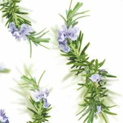 Kneipp New Energy - Douchegel -Winkel Voor Persoonlijke Verzorging 1200x1200 1458