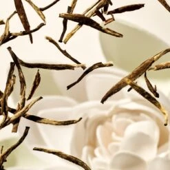 RITUALS The Ritual Of Karma Body Scrub - 300 G -Winkel Voor Persoonlijke Verzorging 1200x1200 1538