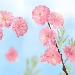 Kneipp Favourite Time - Douchegel 13 Kneipp Favourite Time - Douchegel -Winkel Voor Persoonlijke Verzorging 1200x1200 1585