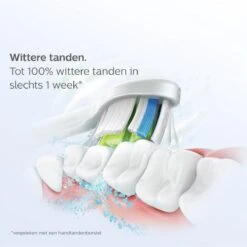 Philips Sonicare W2 Optimal White HX6068/13 - Opzetborstels - 8 Stuks 21 Philips Sonicare W2 Optimal White HX6068/13 - Opzetborstels - 8 Stuks -Winkel Voor Persoonlijke Verzorging 1200x1200 161