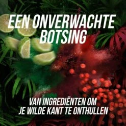 Axe Wild Fresh Bergamot & Pink Pepper Deodorant Bodyspray - 6 X 150 Ml - Voordeelverpakking 18 Axe Wild Fresh Bergamot & Pink Pepper Deodorant Bodyspray - 6 X 150 Ml - Voordeelverpakking -Winkel Voor Persoonlijke Verzorging 1200x1200 1639