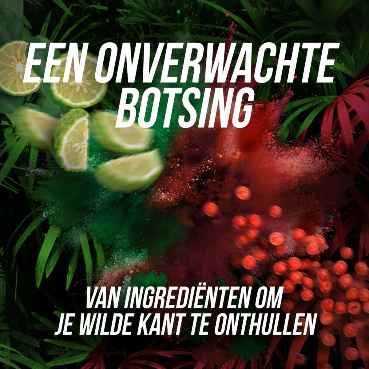 Axe Wild Fresh Bergamot & Pink Pepper Deodorant Bodyspray - 6 X 150 Ml - Voordeelverpakking 5 Axe Wild Fresh Bergamot & Pink Pepper Deodorant Bodyspray - 6 X 150 Ml - Voordeelverpakking - Afbeelding 3