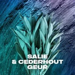 Axe Apollo Anti-transpirant Spray - 6 X 150 Ml - Voordeelverpakking 17 Axe Apollo Anti-transpirant Spray - 6 X 150 Ml - Voordeelverpakking -Winkel Voor Persoonlijke Verzorging 1200x1200 1676