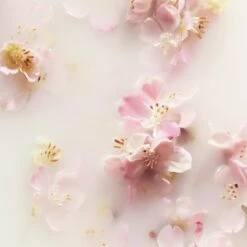 RITUALS The Ritual Of Sakura Recovery Hand Balm - 70 Ml -Winkel Voor Persoonlijke Verzorging 1200x1200 2021