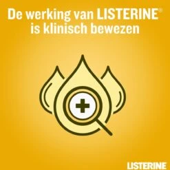 LISTERINE Fresh Ginger & Lime Mondwater, Met Gember- En Limoenextract, Mondspoeling Zonder Alcohol, Voor Een Frisse Adem, 3 X 500 Ml 15 LISTERINE Fresh Ginger & Lime Mondwater, Met Gember- En Limoenextract, Mondspoeling Zonder Alcohol, Voor Een Frisse Adem, 3 X 500 Ml -Winkel Voor Persoonlijke Verzorging 1200x1200 259