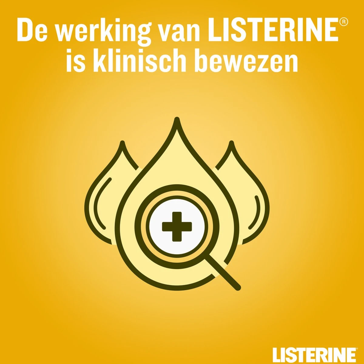 LISTERINE Fresh Ginger & Lime Mondwater, Met Gember- En Limoenextract, Mondspoeling Zonder Alcohol, Voor Een Frisse Adem, 3 X 500 Ml 7 LISTERINE Fresh Ginger & Lime Mondwater, Met Gember- En Limoenextract, Mondspoeling Zonder Alcohol, Voor Een Frisse Adem, 3 X 500 Ml - Afbeelding 5