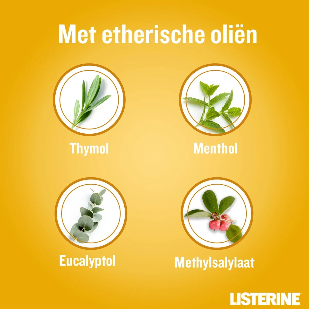 LISTERINE Fresh Ginger & Lime Mondwater, Met Gember- En Limoenextract, Mondspoeling Zonder Alcohol, Voor Een Frisse Adem, 3 X 500 Ml 8 LISTERINE Fresh Ginger & Lime Mondwater, Met Gember- En Limoenextract, Mondspoeling Zonder Alcohol, Voor Een Frisse Adem, 3 X 500 Ml - Afbeelding 6