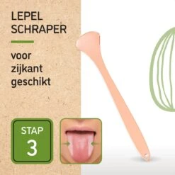 Nutty Green 3-Delige Tongschraper Set Inclusief Opbergcase - Tongreiniging Mondverzorging - Tongreiniger Mondhygiëne - RVS Schraper Voor Schone Tong Reiniging - Tongborstel Tegen Slechte Adem - Zero Waste Lifestyle 17 Nutty Green 3-Delige Tongschraper Set Inclusief Opbergcase - Tongreiniging Mondverzorging - Tongreiniger Mondhygiëne - RVS Schraper Voor Schone Tong Reiniging - Tongborstel Tegen Slechte Adem - Zero Waste Lifestyle -Winkel Voor Persoonlijke Verzorging 1200x1200 31