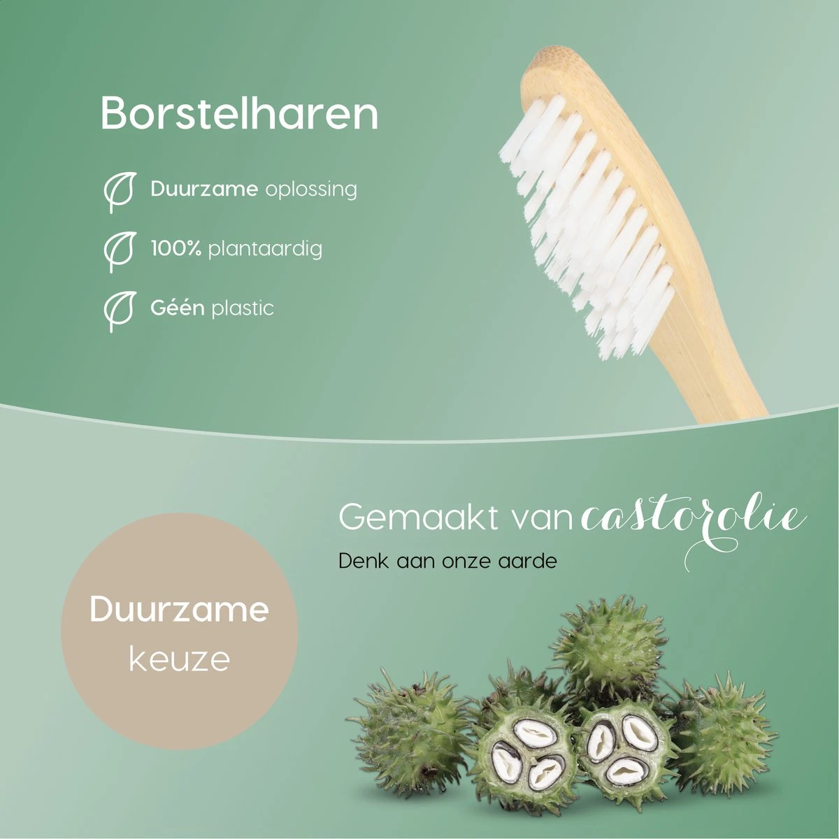 NATURE’S Groove® Bamboe Tandenborstel - Houten Tandenborstel Soft - 8 Stuks - Handmatig 4 NATURE’S Groove® Bamboe Tandenborstel - Houten Tandenborstel Soft - 8 Stuks - Handmatig - Afbeelding 2