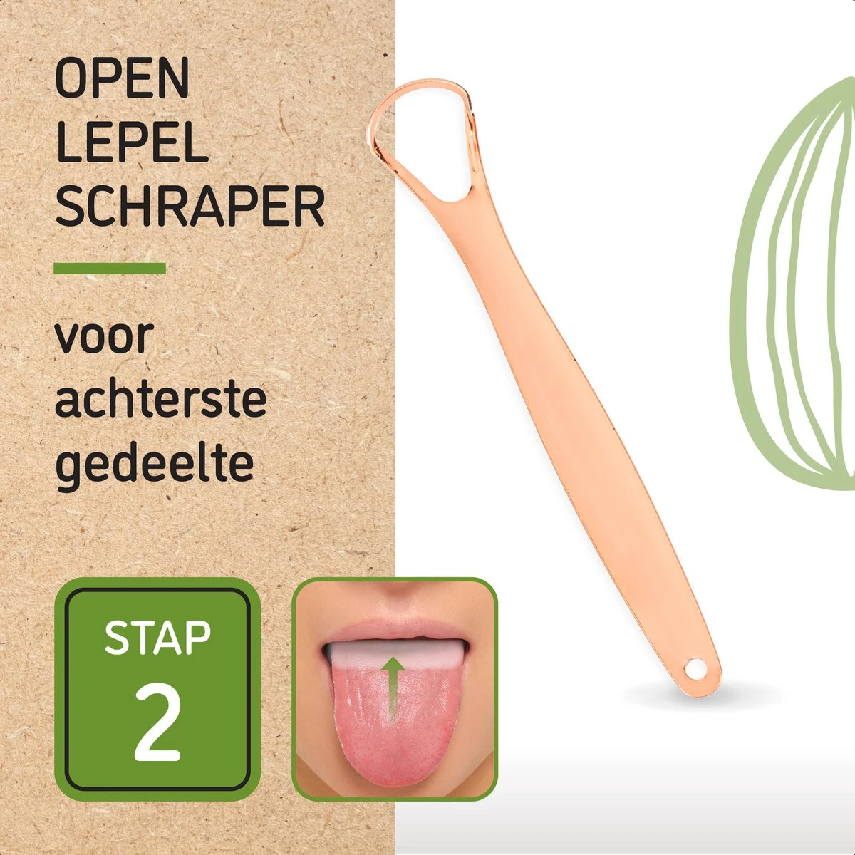 Nutty Green 3-Delige Tongschraper Set Inclusief Opbergcase - Tongreiniging Mondverzorging - Tongreiniger Mondhygiëne - RVS Schraper Voor Schone Tong Reiniging - Tongborstel Tegen Slechte Adem - Zero Waste Lifestyle 10 Nutty Green 3-Delige Tongschraper Set Inclusief Opbergcase - Tongreiniging Mondverzorging - Tongreiniger Mondhygiëne - RVS Schraper Voor Schone Tong Reiniging - Tongborstel Tegen Slechte Adem - Zero Waste Lifestyle - Afbeelding 8