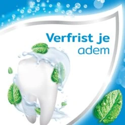 Aquafresh Freshmint - Tandpasta - Voor Een Frisse Adem - Voordeelverpakking - Recyclebare Plastic Tube En Dop -5 X 75ml 15 Aquafresh Freshmint - Tandpasta - Voor Een Frisse Adem - Voordeelverpakking - Recyclebare Plastic Tube En Dop -5 X 75ml -Winkel Voor Persoonlijke Verzorging 1200x1200 348