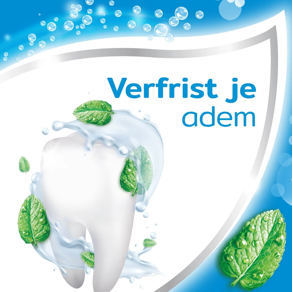 Aquafresh Freshmint - Tandpasta - Voor Een Frisse Adem - Voordeelverpakking - Recyclebare Plastic Tube En Dop -5 X 75ml 5 Aquafresh Freshmint - Tandpasta - Voor Een Frisse Adem - Voordeelverpakking - Recyclebare Plastic Tube En Dop -5 X 75ml - Afbeelding 3