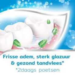 Aquafresh Freshmint - Tandpasta - Voor Een Frisse Adem - Voordeelverpakking - Recyclebare Plastic Tube En Dop -5 X 75ml 22 Aquafresh Freshmint - Tandpasta - Voor Een Frisse Adem - Voordeelverpakking - Recyclebare Plastic Tube En Dop -5 X 75ml -Winkel Voor Persoonlijke Verzorging 1200x1200 355