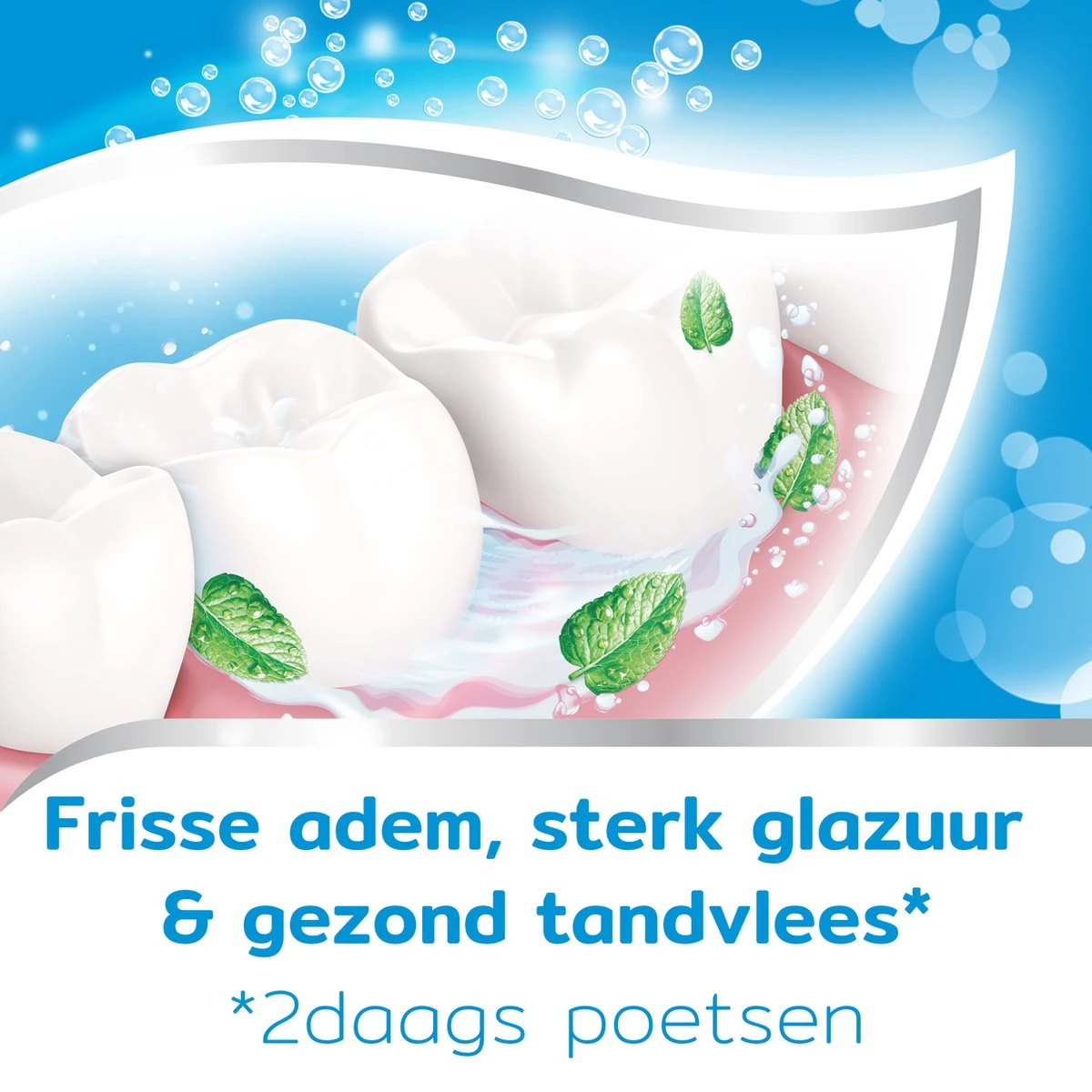 Aquafresh Freshmint - Tandpasta - Voor Een Frisse Adem - Voordeelverpakking - Recyclebare Plastic Tube En Dop -5 X 75ml 12 Aquafresh Freshmint - Tandpasta - Voor Een Frisse Adem - Voordeelverpakking - Recyclebare Plastic Tube En Dop -5 X 75ml - Afbeelding 10