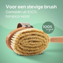 100% Vegan Lichaamsborstel Met Lange Afneembare Steel - Rugborstel/Badborstel/Doucheborstel - Dry Brushing Huidborstel - Droogborstel - Douche -Winkel Voor Persoonlijke Verzorging 1200x1200 775