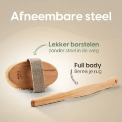 100% Vegan Lichaamsborstel Met Lange Afneembare Steel - Rugborstel/Badborstel/Doucheborstel - Dry Brushing Huidborstel - Droogborstel - Douche -Winkel Voor Persoonlijke Verzorging 1200x1200 778