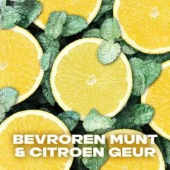 Axe Ice Chill Bodyspray Deodorant - 6 X 150 Ml - Voordeelverpakking 20 Axe Ice Chill Bodyspray Deodorant - 6 X 150 Ml - Voordeelverpakking -Winkel Voor Persoonlijke Verzorging 1200x1200 838