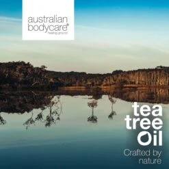 Australian Bodycare Body Cream 100 Ml - Intensieve Vochtinbrengende Crème Voor Zeer Droge & Beschadigde Huid - Met Actieve Ingrediënten Tea Tree Om De Natuurlijke Bacterieflora In Balans Te Houden En Toverhazelaar Voor Hydratatie Van De Huid -Winkel Voor Persoonlijke Verzorging 1200x1200 917