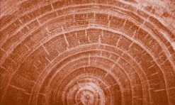 Kneipp Men - Warm Woods - Douche 2-in-1 15 Kneipp Men - Warm Woods - Douche 2-in-1 -Winkel Voor Persoonlijke Verzorging 1200x720