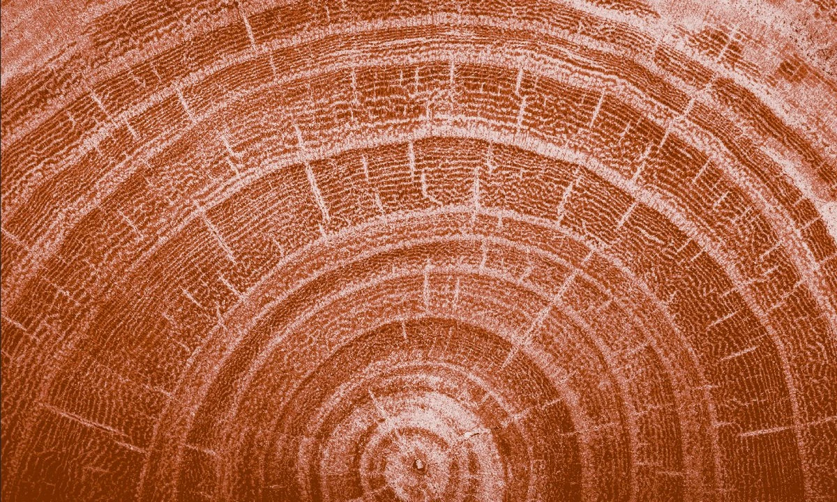 Kneipp Men - Warm Woods - Douche 2-in-1 7 Kneipp Men - Warm Woods - Douche 2-in-1 - Afbeelding 5