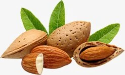 Amandelolie 100ml | 100% Puur & Onbewerkt | Koudgeperste Zoete Amandel Olie Voor Haar, Huid En Lichaam 11 Amandelolie 100ml | 100% Puur & Onbewerkt | Koudgeperste Zoete Amandel Olie Voor Haar, Huid En Lichaam -Winkel Voor Persoonlijke Verzorging 1200x723