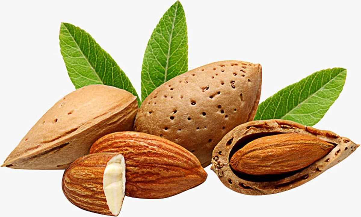 Amandelolie 100ml | 100% Puur & Onbewerkt | Koudgeperste Zoete Amandel Olie Voor Haar, Huid En Lichaam 6 Amandelolie 100ml | 100% Puur & Onbewerkt | Koudgeperste Zoete Amandel Olie Voor Haar, Huid En Lichaam - Afbeelding 4