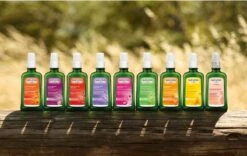 Weleda Berken Anti Cellulite Olie -Winkel Voor Persoonlijke Verzorging 1200x760 1