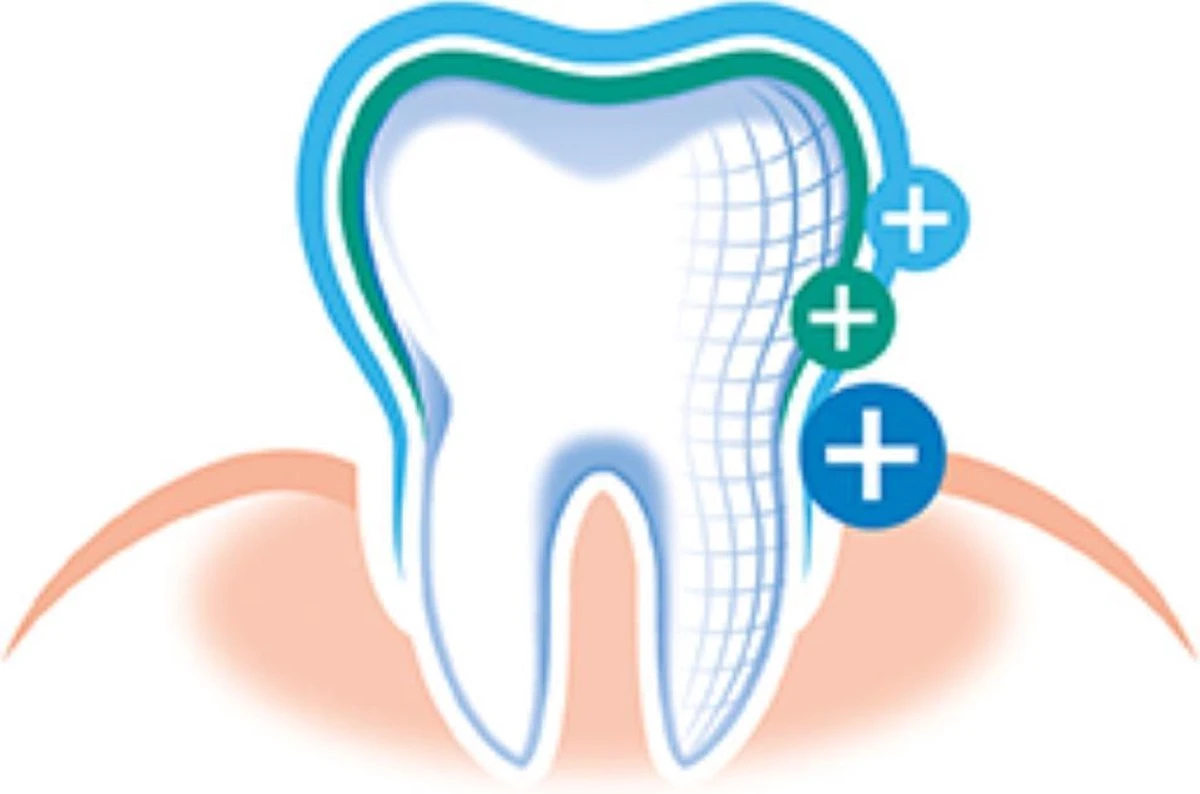 Elmex Tandpasta Sensitive 12 X 75ml - Voordeelverpakking 5 Elmex Tandpasta Sensitive 12 X 75ml - Voordeelverpakking - Afbeelding 3