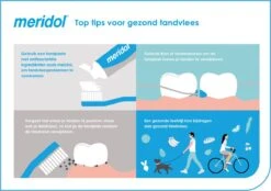 Meridol Mondwater Tandvlees - 2 X 400 Ml - Voordeelverpakking 19 Meridol Mondwater Tandvlees - 2 X 400 Ml - Voordeelverpakking -Winkel Voor Persoonlijke Verzorging 1200x845 3